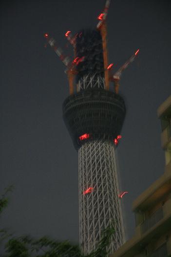 f0124830_23141187.jpg