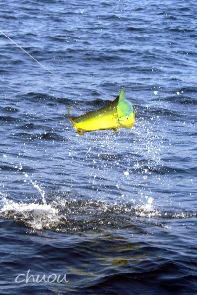 f0146531_214249.jpg