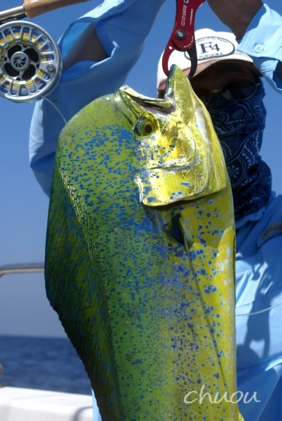 f0146531_2144241.jpg