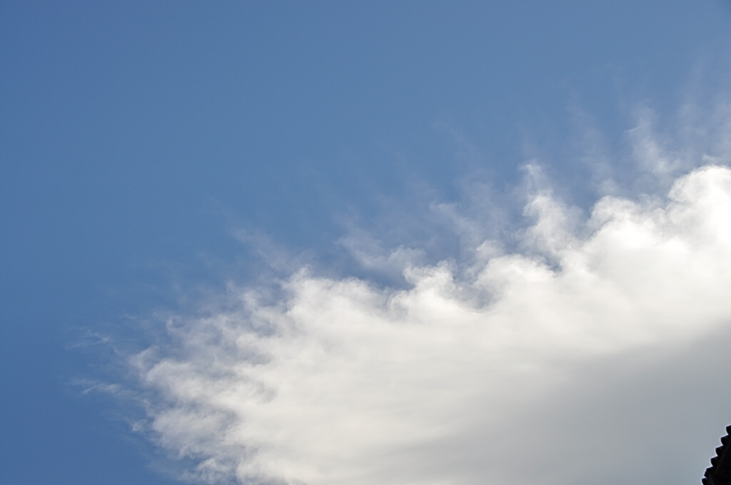 b0129533_22371457.jpg