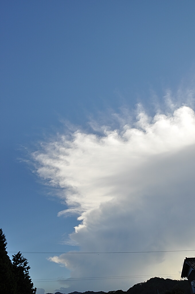 b0129533_2237204.jpg