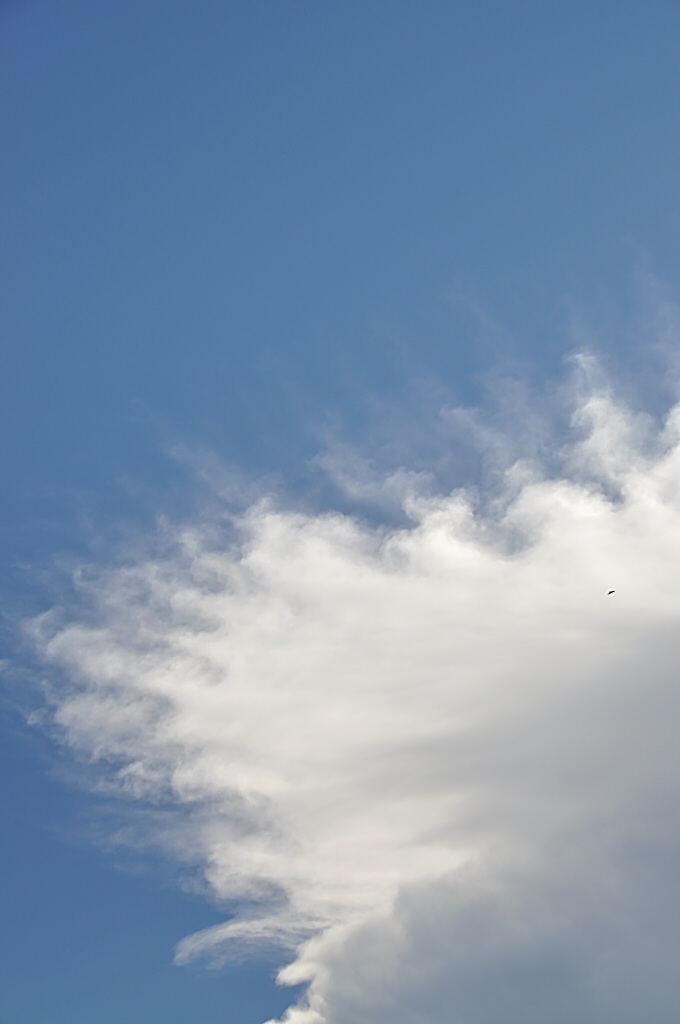 b0129533_2237661.jpg