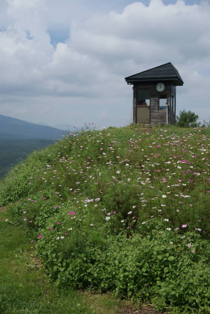 b0117437_148527.jpg