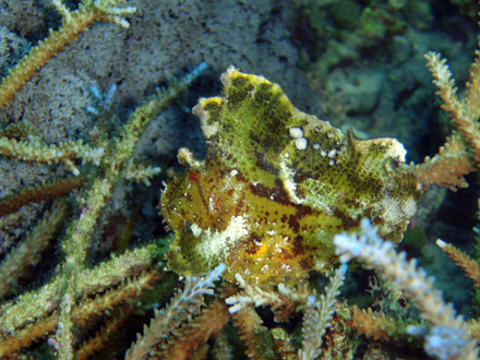 f0014842_17443339.jpg