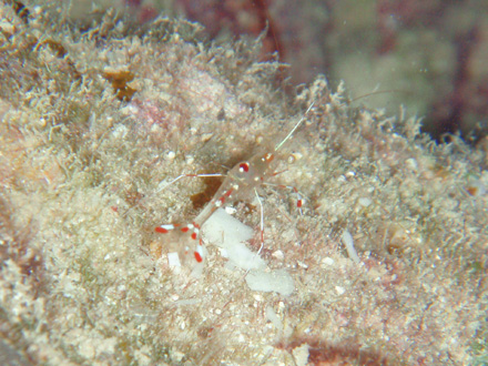 f0014842_17452848.jpg