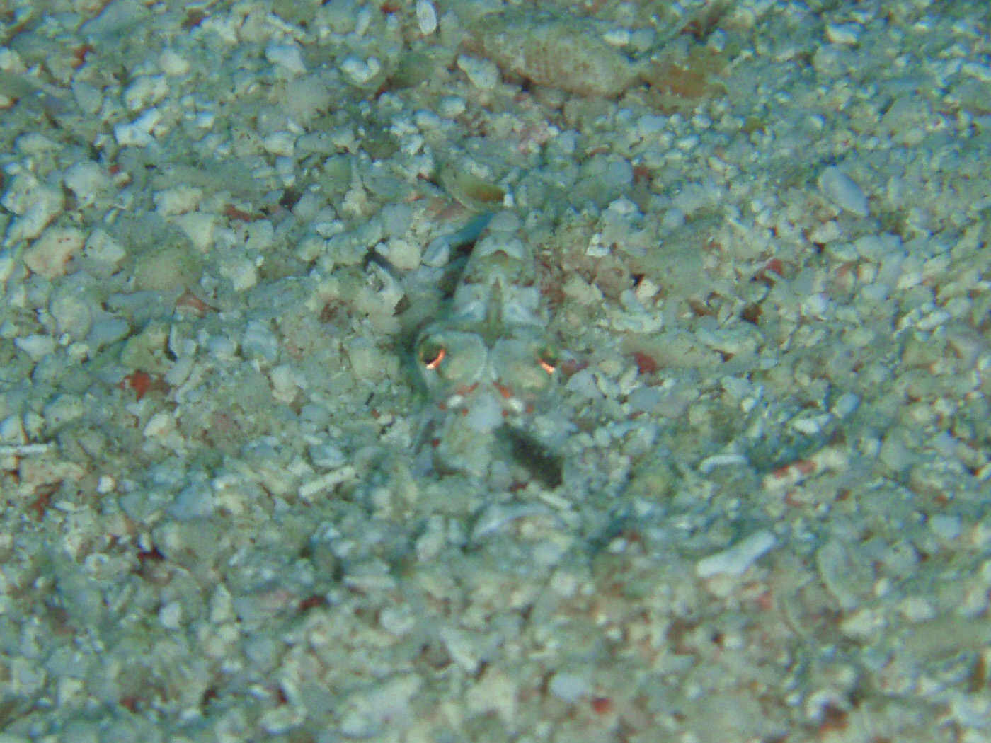 f0014842_1750353.jpg