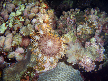 f0014842_1756979.jpg