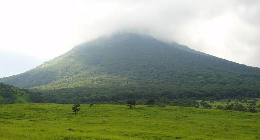 e0164643_2052493.jpg