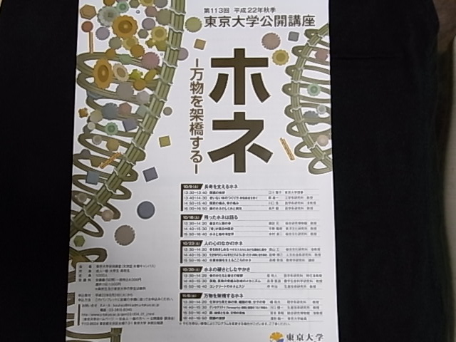 a0170046_23265196.jpg