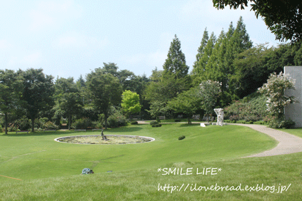 e0182147_5333728.gif