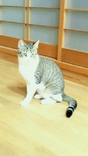 e0150849_19373650.jpg
