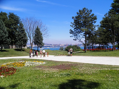 a0104162_1152957.jpg