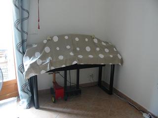 a0087065_2144716.jpg