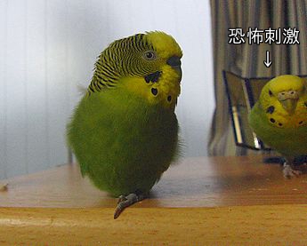 f0196665_015385.jpg