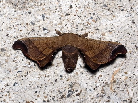 b0130166_2242210.jpg