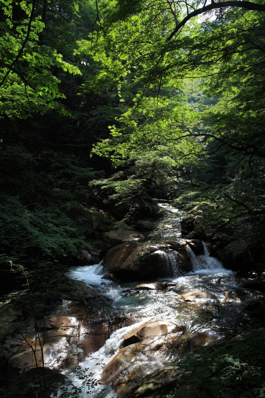 b0027267_15593343.jpg