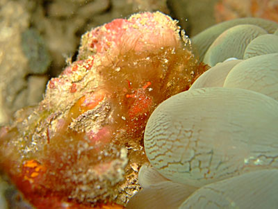 b0033573_1739642.jpg