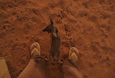 e0066474_18362686.jpg