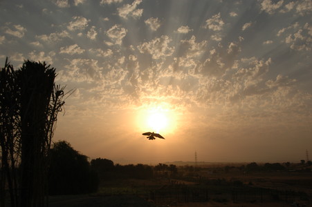 e0066474_209204.jpg