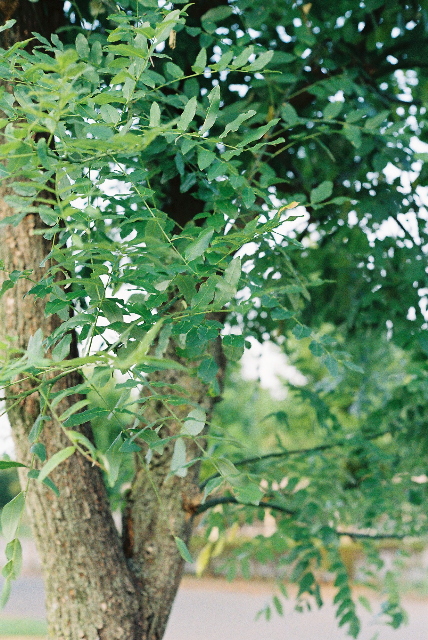 f0198778_21261999.jpg