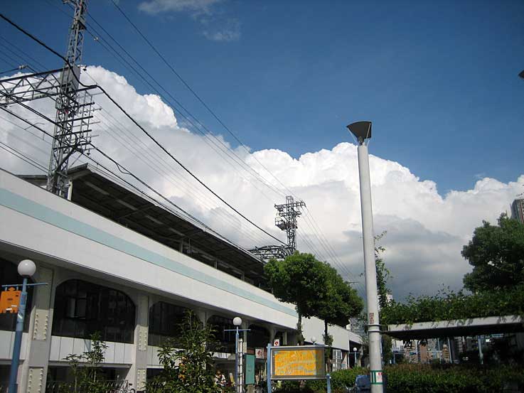 b0057679_842992.jpg