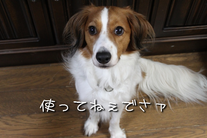 a0076980_1934030.jpg