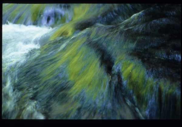 a0053783_192952100.jpg
