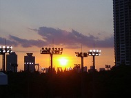 a0142083_2344026.jpg