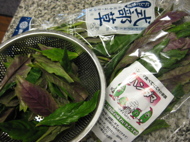 c0119385_10154020.jpg