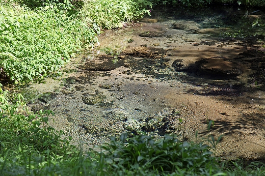 e0190885_19304230.jpg