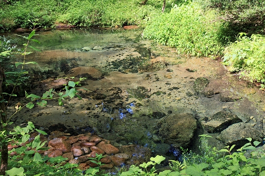 e0190885_19304745.jpg
