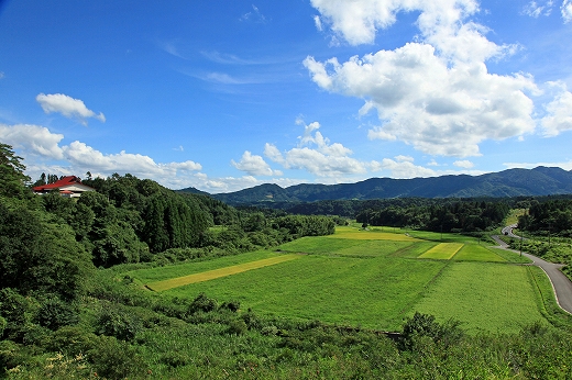 e0190885_19352882.jpg