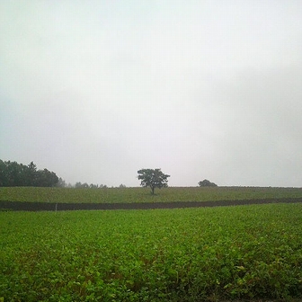 d0125890_22533077.jpg