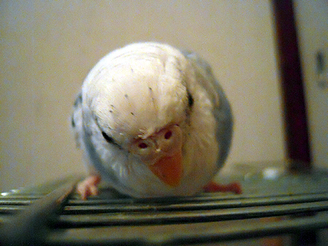 d0131293_2012190.jpg