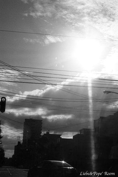 f0001895_16134579.jpg