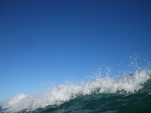 c0193396_124741.jpg