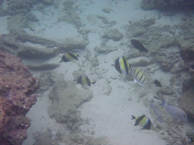 c0193396_12482446.jpg