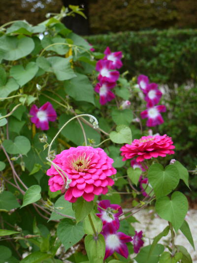 c0090198_7332141.jpg