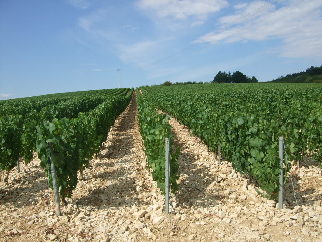 e0150498_1457524.jpg