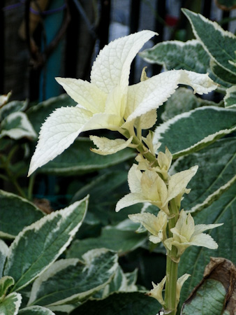 f0239100_13435949.jpg