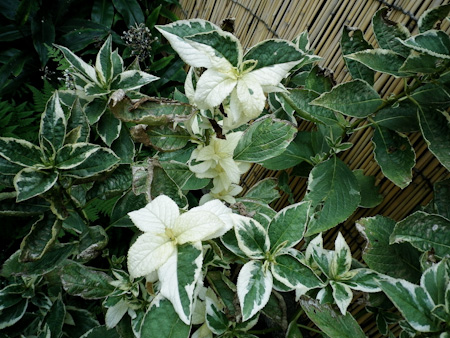 f0239100_13512037.jpg