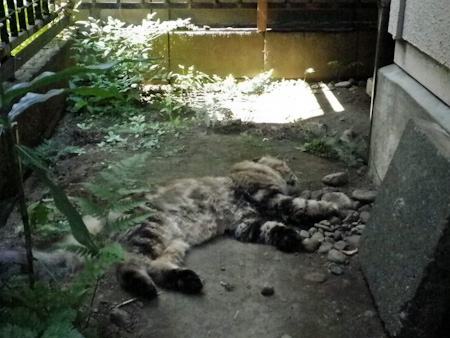 f0239100_16165299.jpg