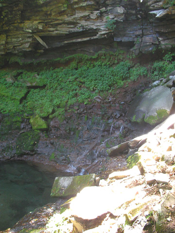 d0004301_23311713.jpg