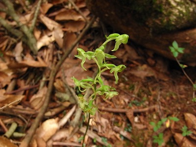 f0187402_19551195.jpg