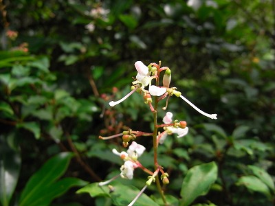 f0187402_19552786.jpg