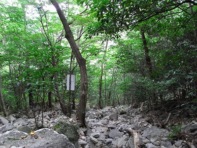 f0187402_19554175.jpg