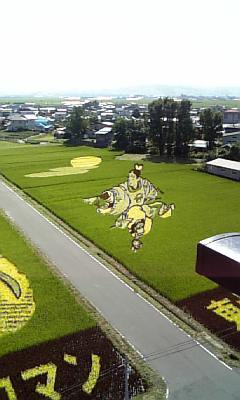 a0013905_1221940.jpg