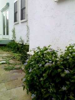 f0113108_7342137.jpg