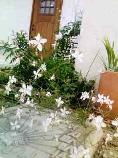 f0113108_7383261.jpg