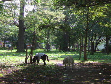 b0075609_145868.jpg